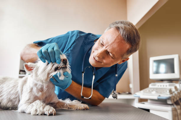 Best 24-Hour Emergency Dental Care in Tenaha, TX